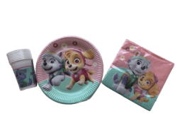 Paw Patrol Sky Festpakke
