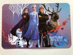 DISNEY FROZEN DÆKKESERVIET