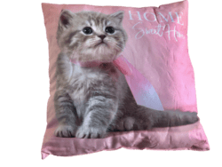 Pude Med Motiv Af Kat