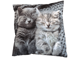 Pude Med Motiv Af 2 Søde Katte