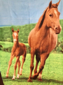 FLEECE PLAID MED HESTE