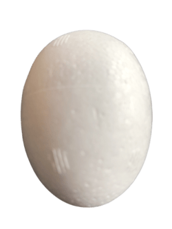 STYROPORÆG H 5,5 CM. 5 STK.