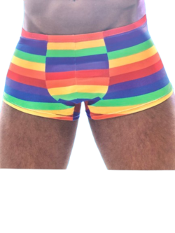 Herre Boxershorts i Regnbuefarver