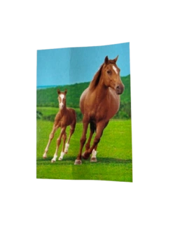 Fleece Plaid med Heste