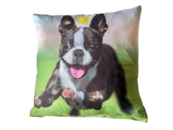 PUDE MED MOTIV AF HUND