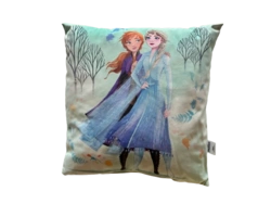 DISNEY ICE MAGIC PUDE