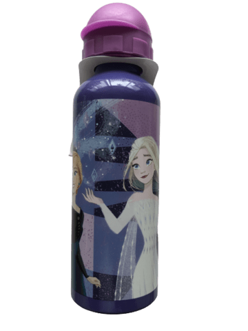 DISNEY FROST 2 ALUMINIUM DRIKKEDUNK