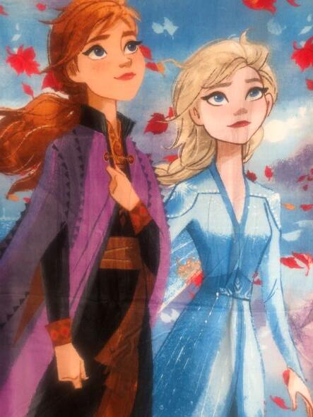 DISNEY FROST BADEHÅNDKLÆDE