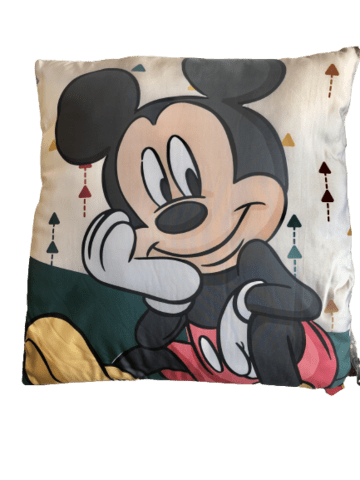 Mickey Mouse Pude
