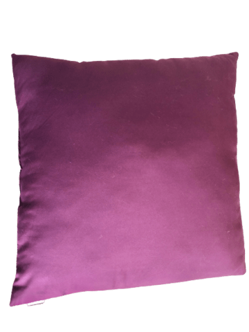 Disney Ice Magic Pude