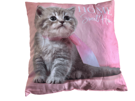 Pude Med Motiv Af Kat