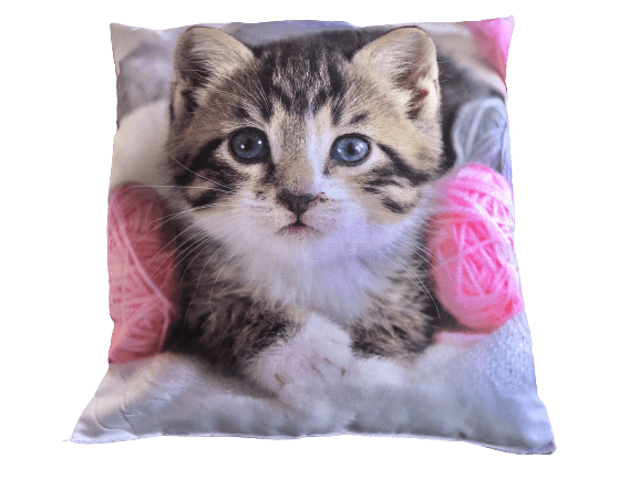 Pude Med Motiv Af Kat