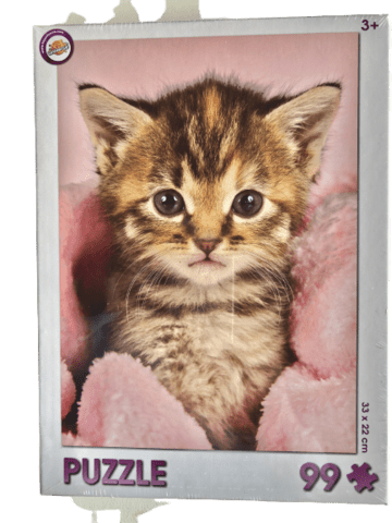 PUSLESPIL MED KAT