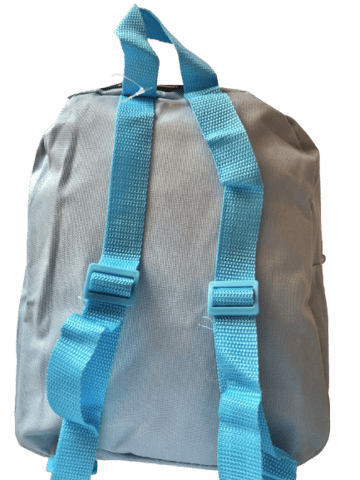 DISNEY FROST RYGSÆK MED ELSA & ANNA