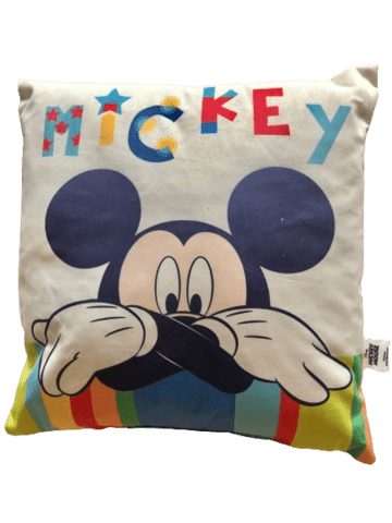 MICKEY MOUSE PUDE