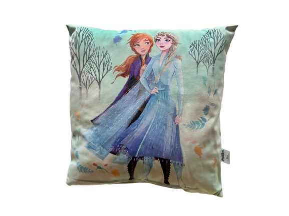 DISNEY ICE MAGIC PUDE