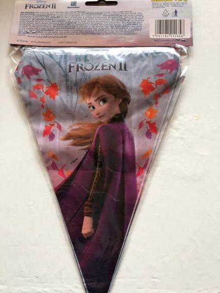 Disney Frozen Flag Banner