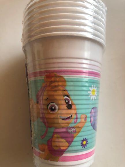 Paw Patrol Skye Kopper