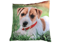 Pude Med Motiv Af Hund