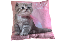 Pude Med Motiv Af Kat