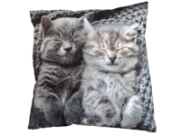Pude Med Motiv Af 2 Søde Katte