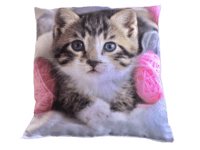 Pude Med Motiv Af Kat